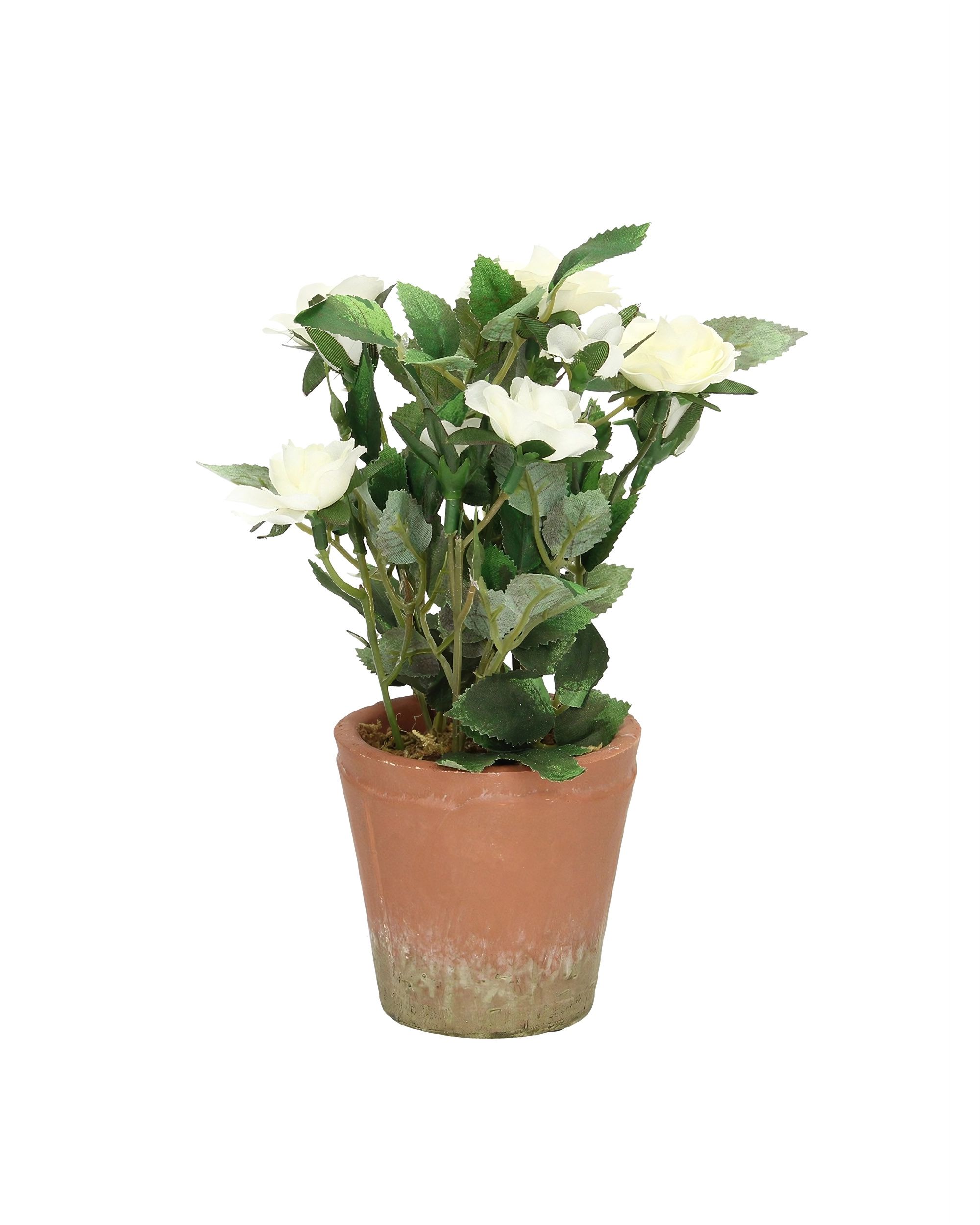 Dekoracja White Rose 24cm