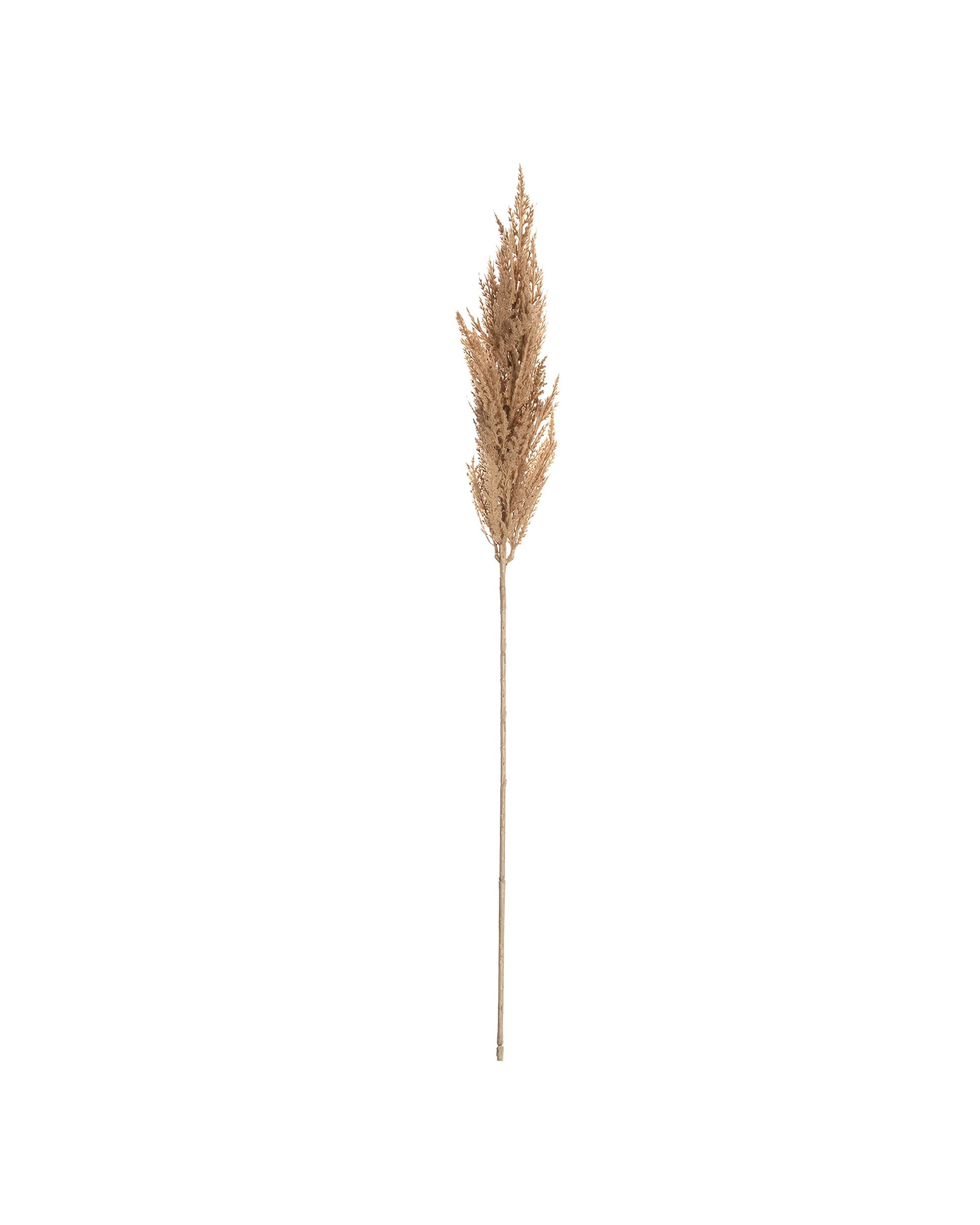 Gałązka Trawy Pampasowej 90cm beige