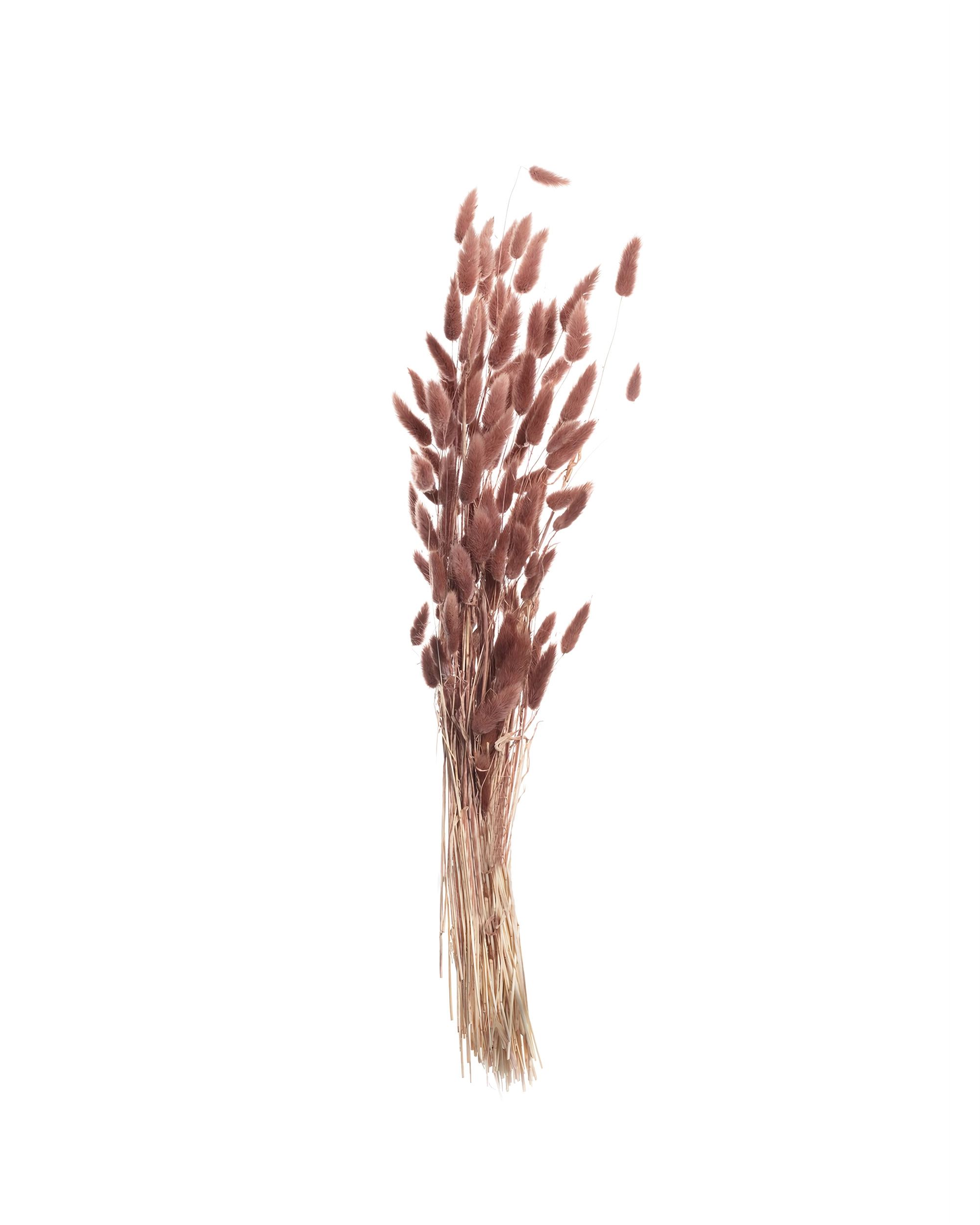 Bukiet Dmuszka 60cm dusty pink