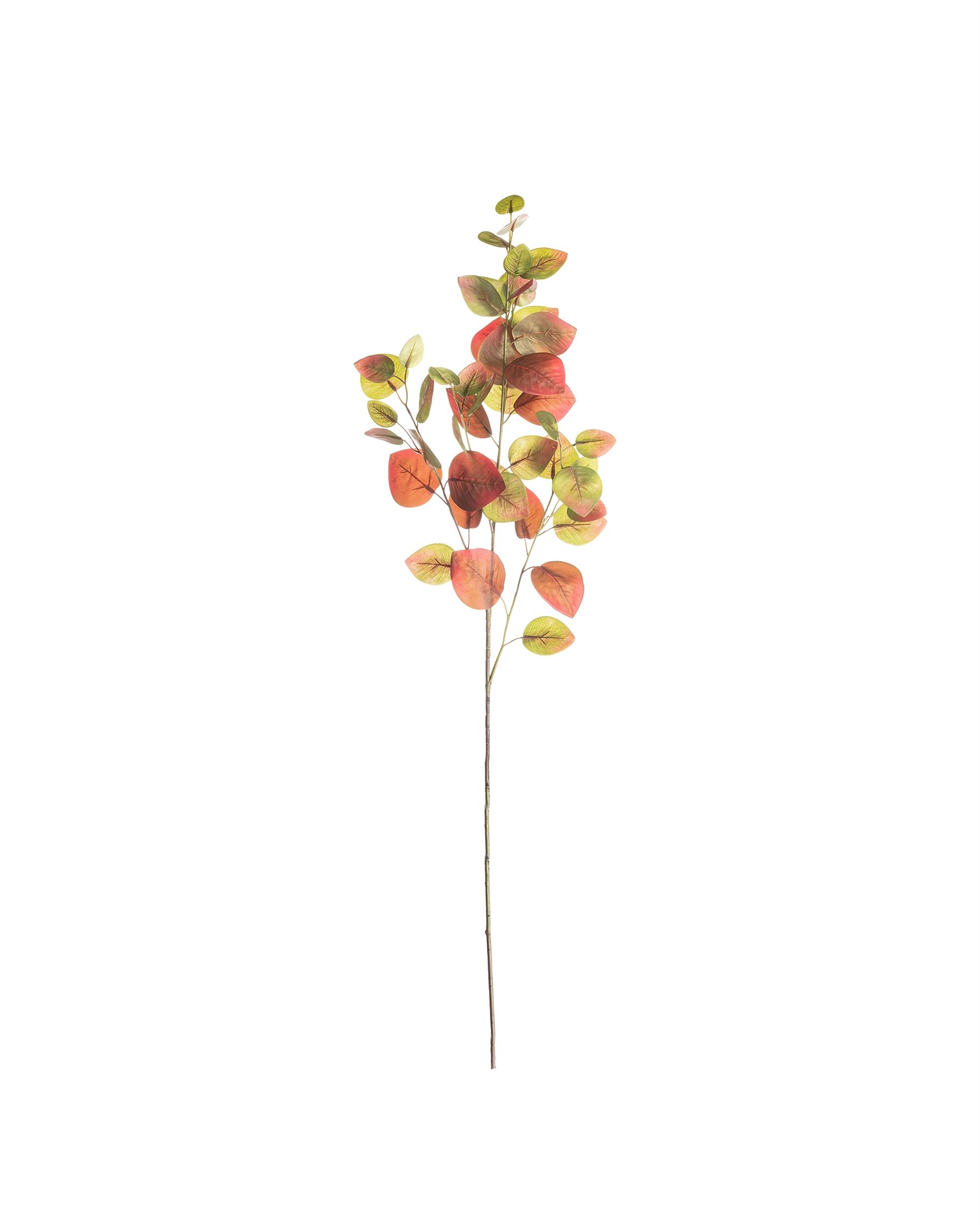 Gałązka Figowa 90cm green red