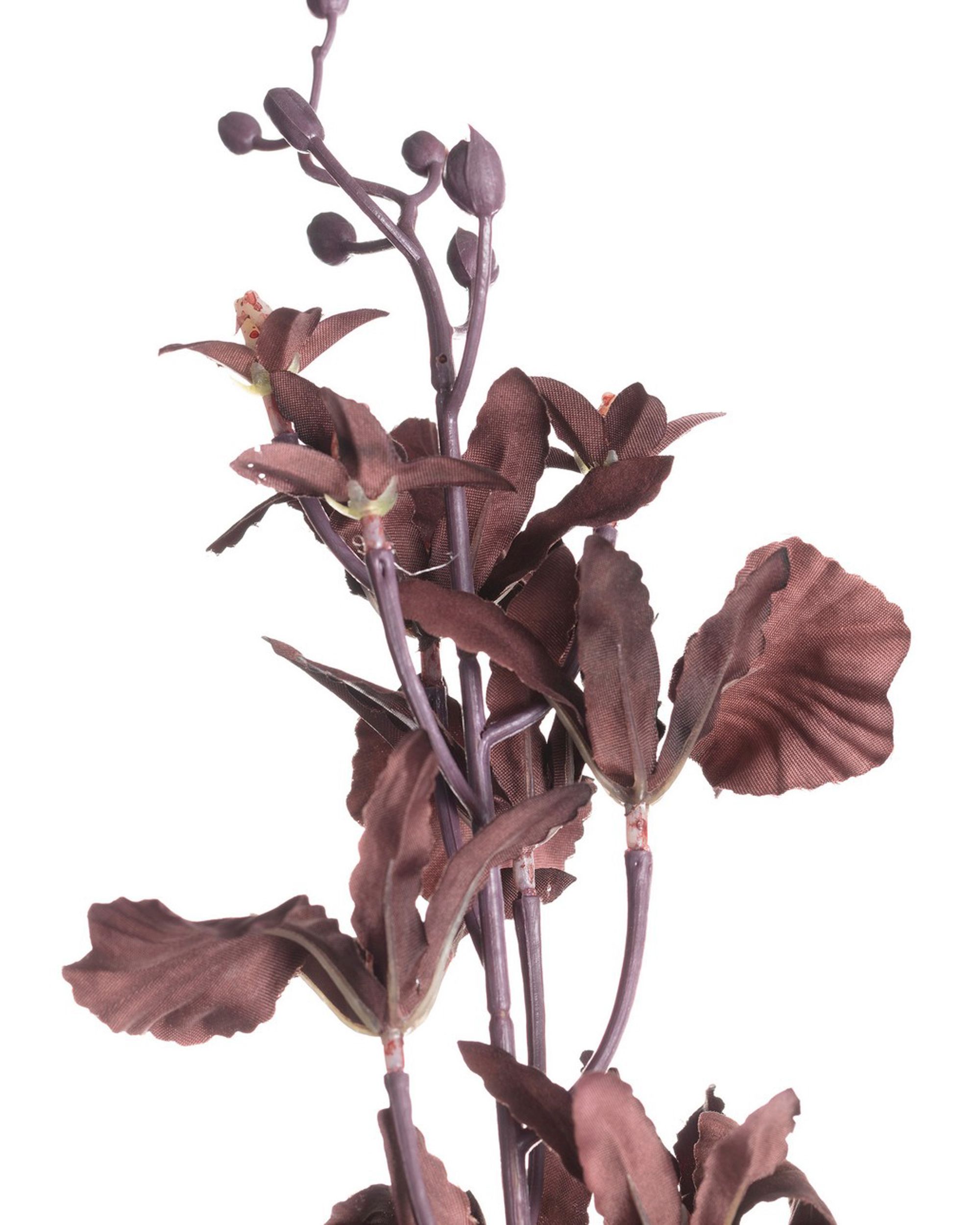 Orchidea 100cm dark plum (hover)