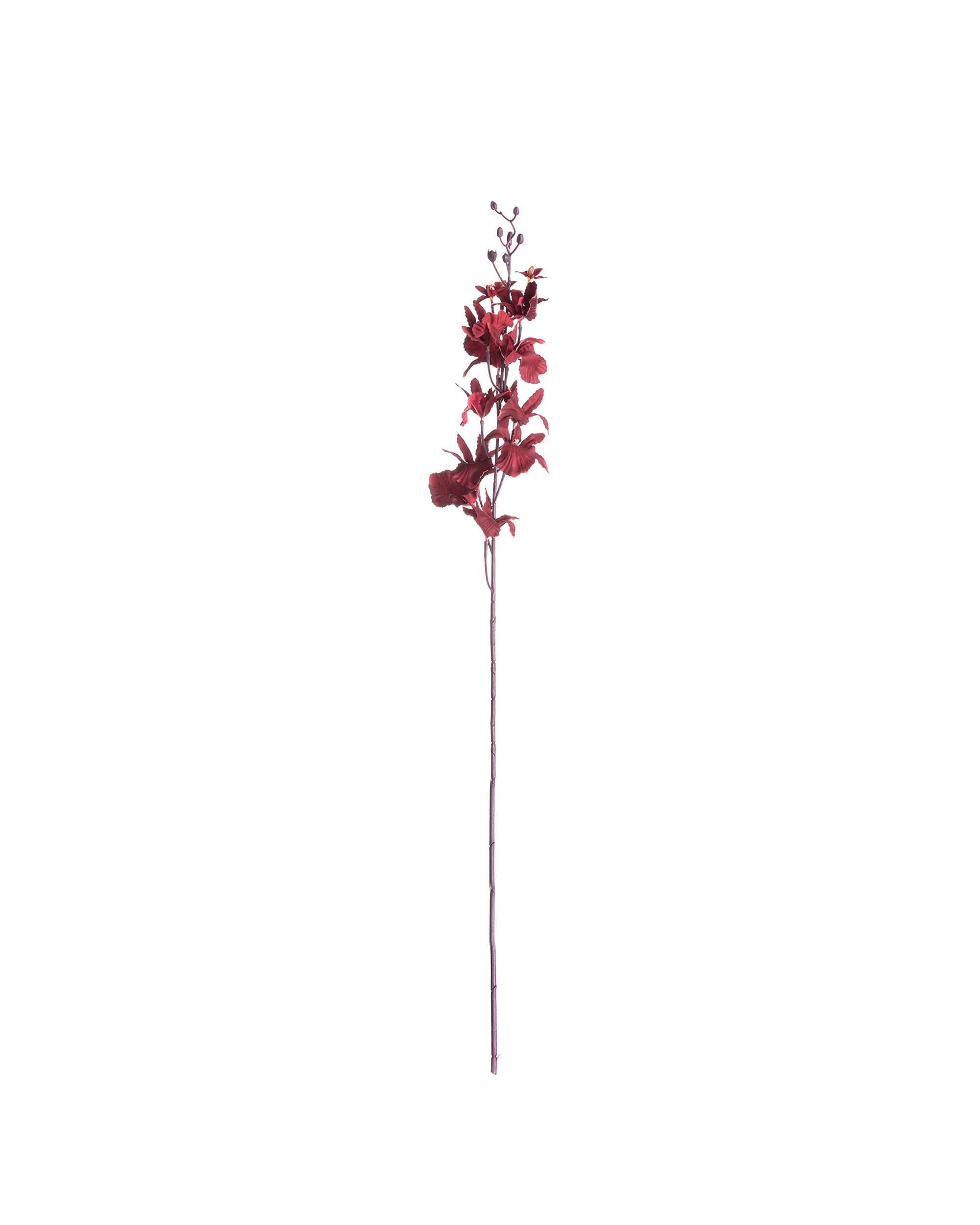 Orchidea 100cm maroon