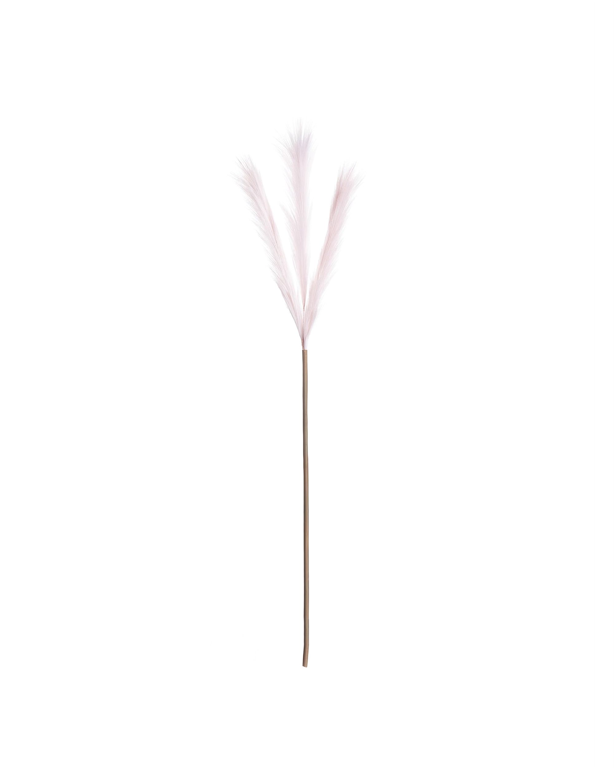 Trawa pampasowa 100cm light pink