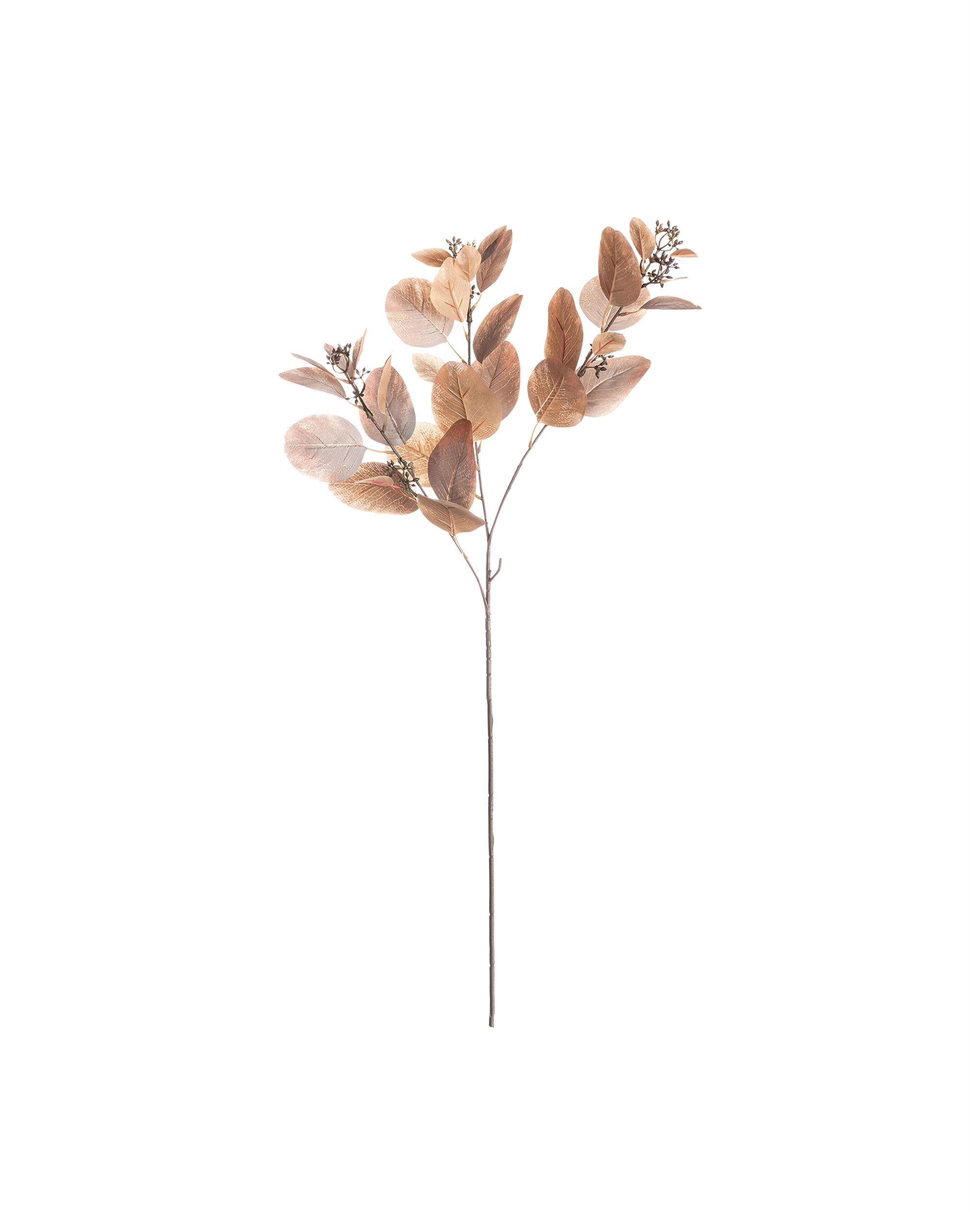 Gałązka Eukaliptus 80cm brown