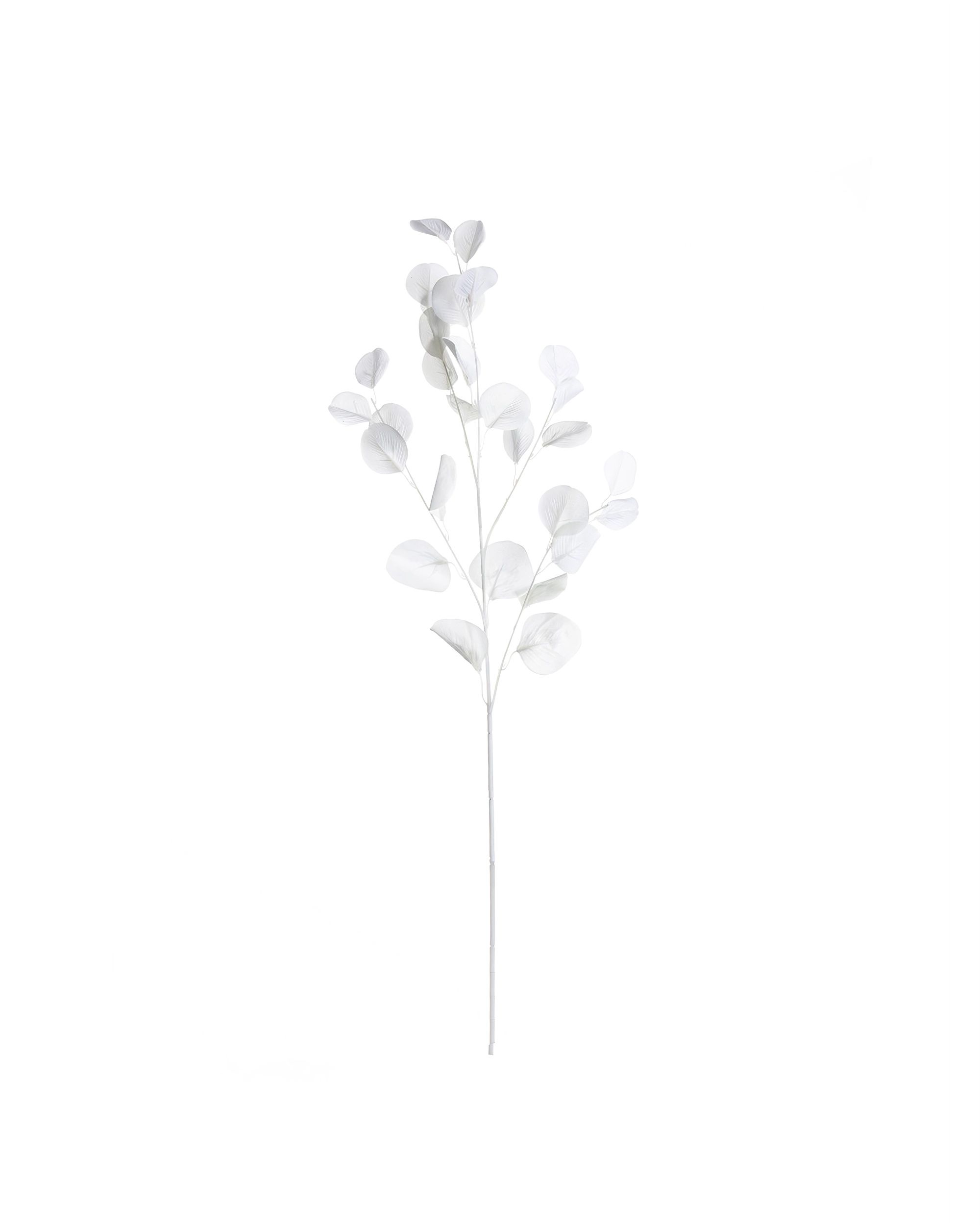 Gałązka Eukaliptusa 90cm white