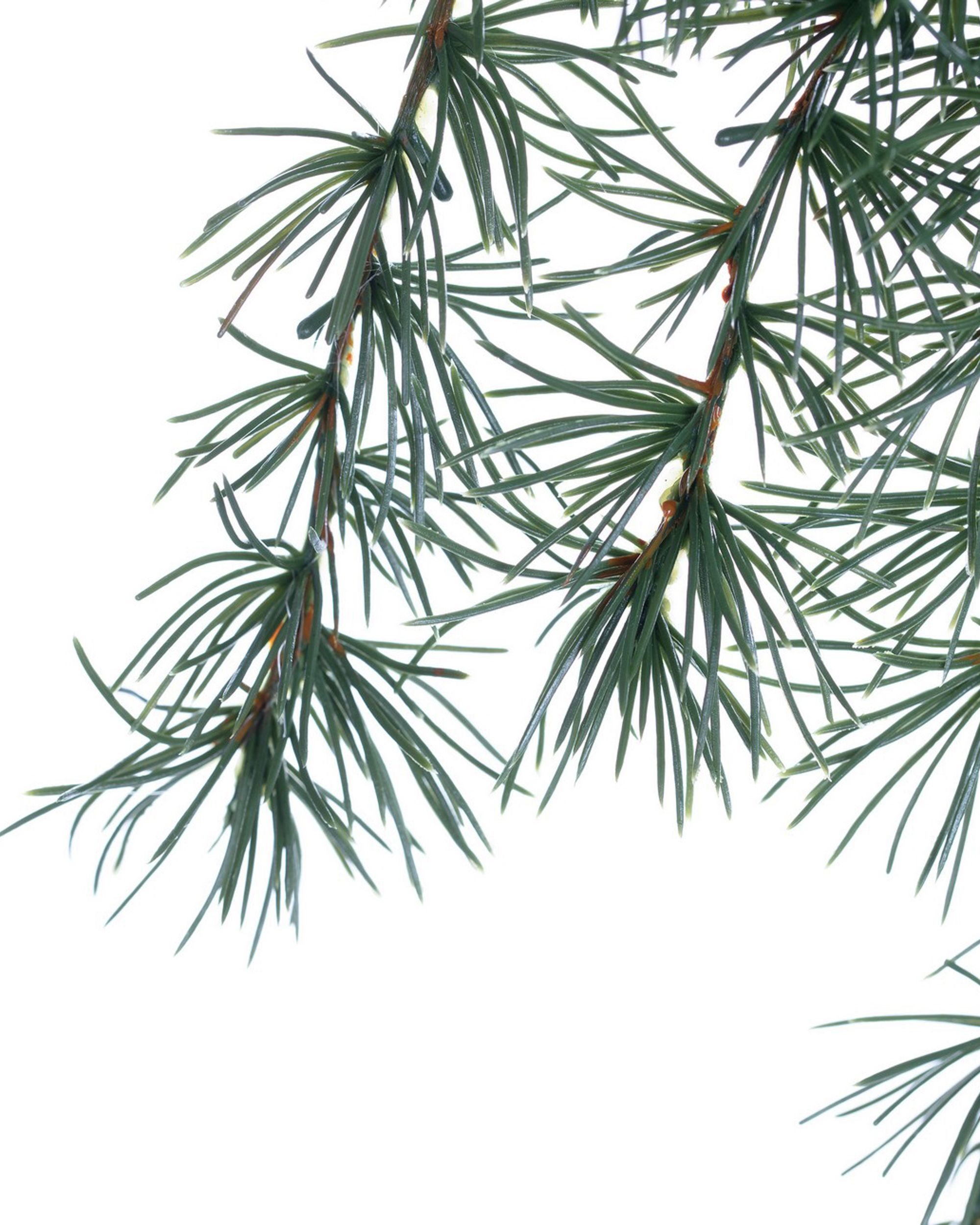 Gałązka Christmas Tree 30x2x60cm dark green (hover)