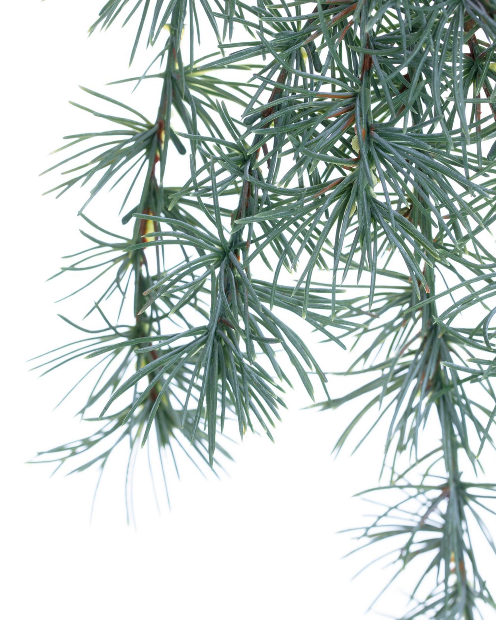 Gałązka Christmas Tree 30x2x60cm light green (hover)