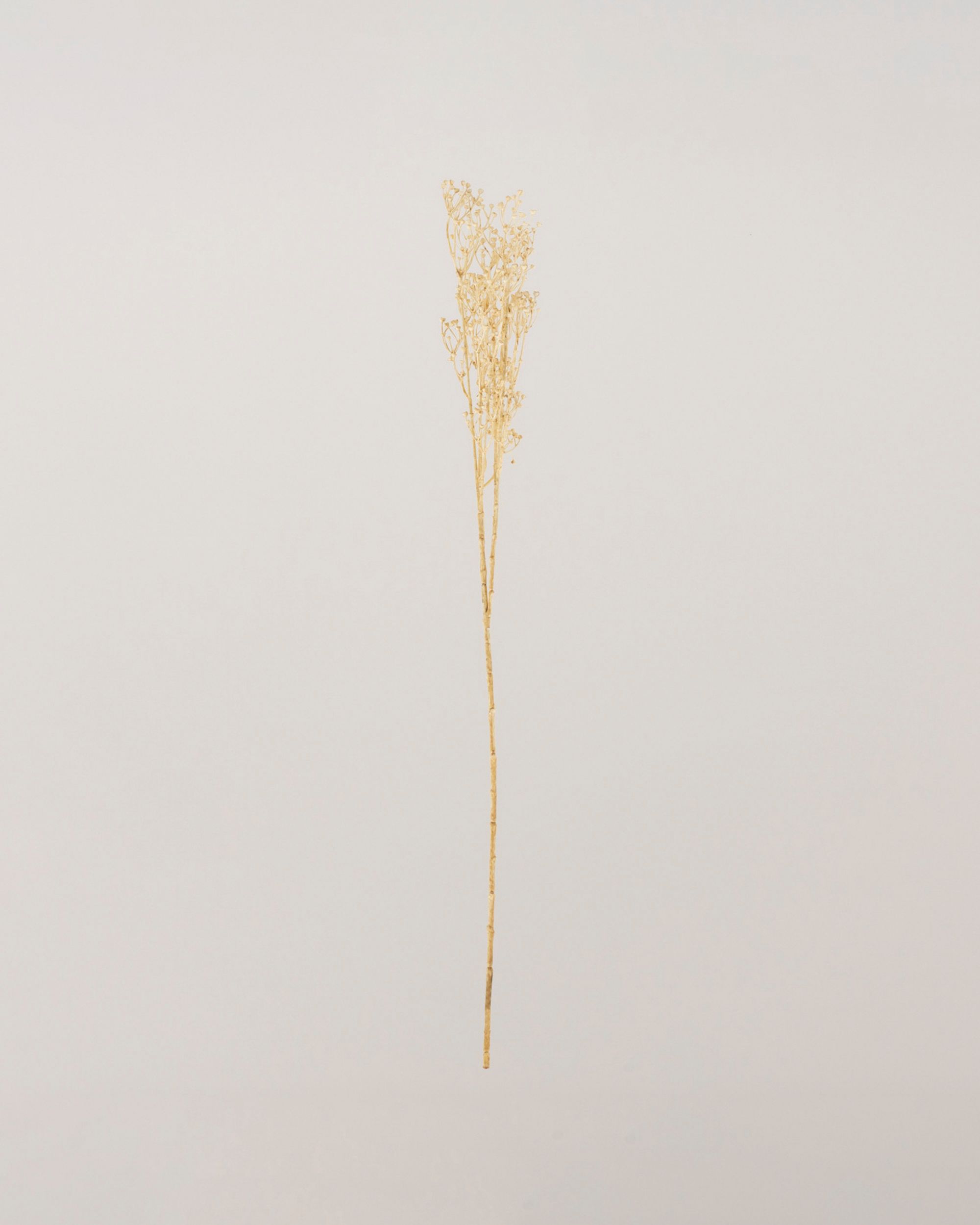 Gałązka Frostbloom ecru 80 cm