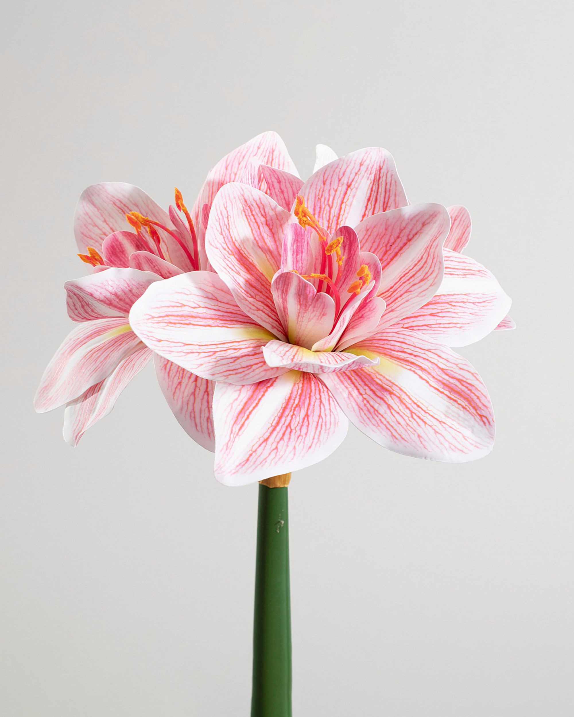 Kwiat sztuczny Amarylis 62 cm pink (hover)