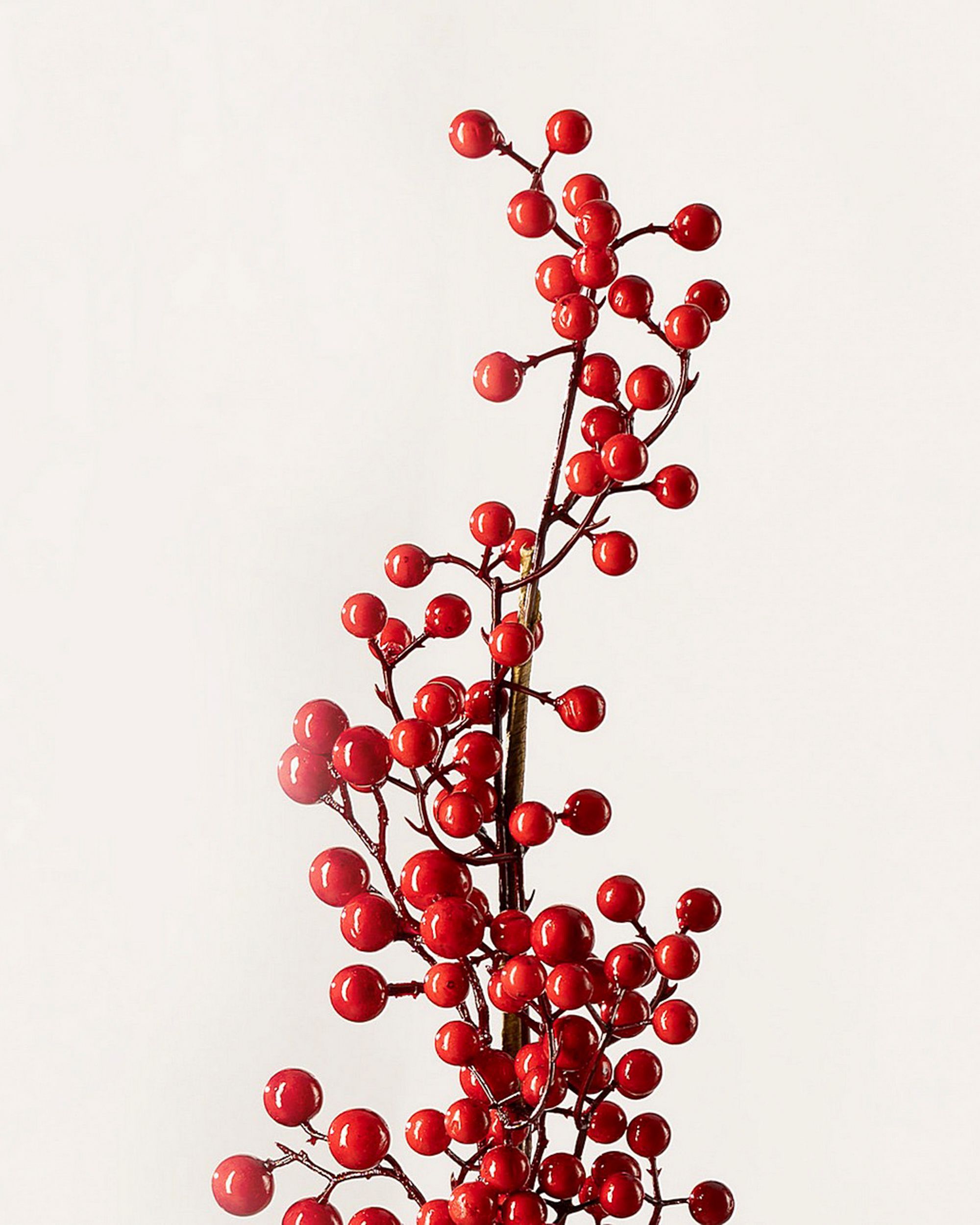 Gałązka dekoracyjna Cranberry 66 cm (hover)