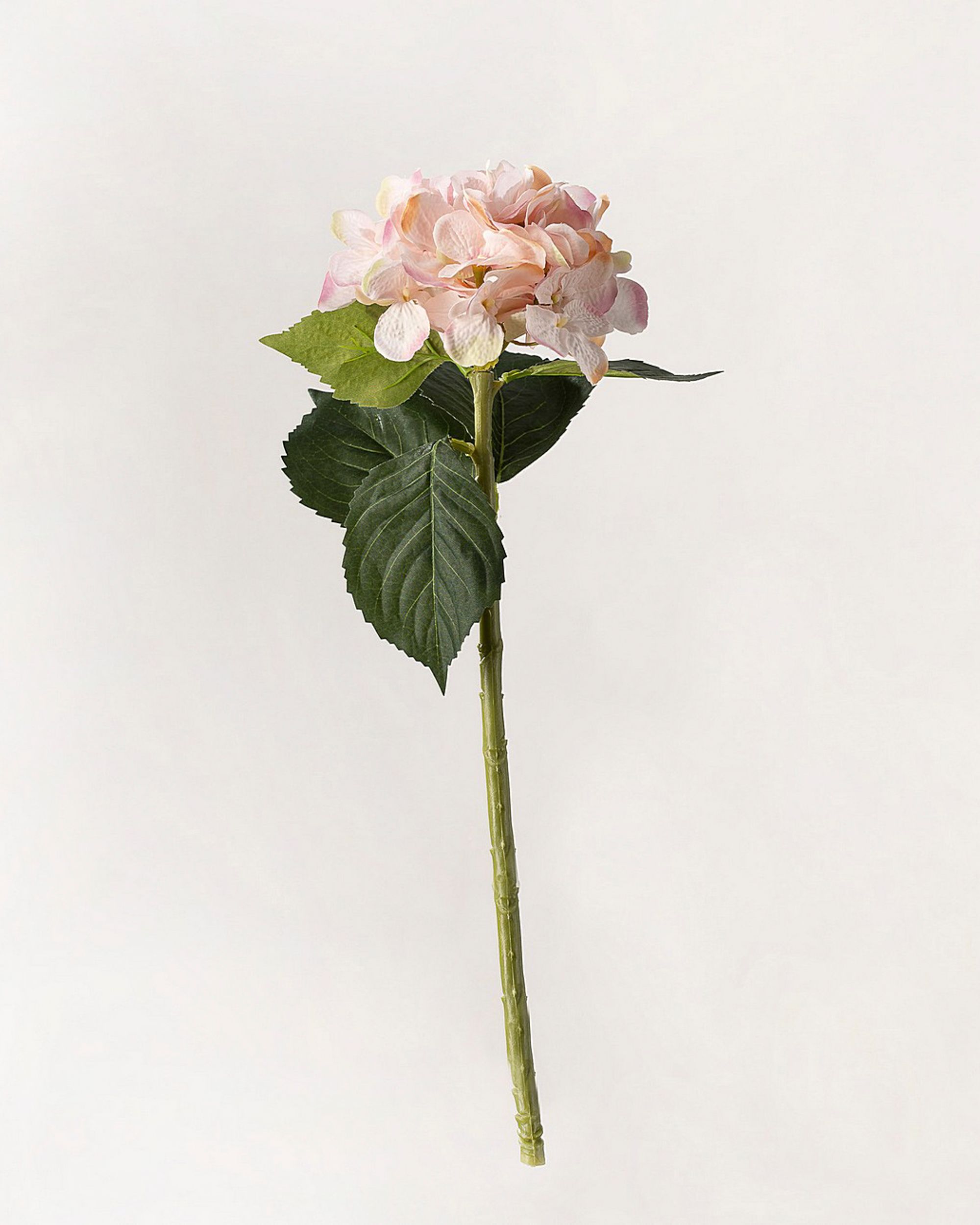Gałązka hortensji 50 cm