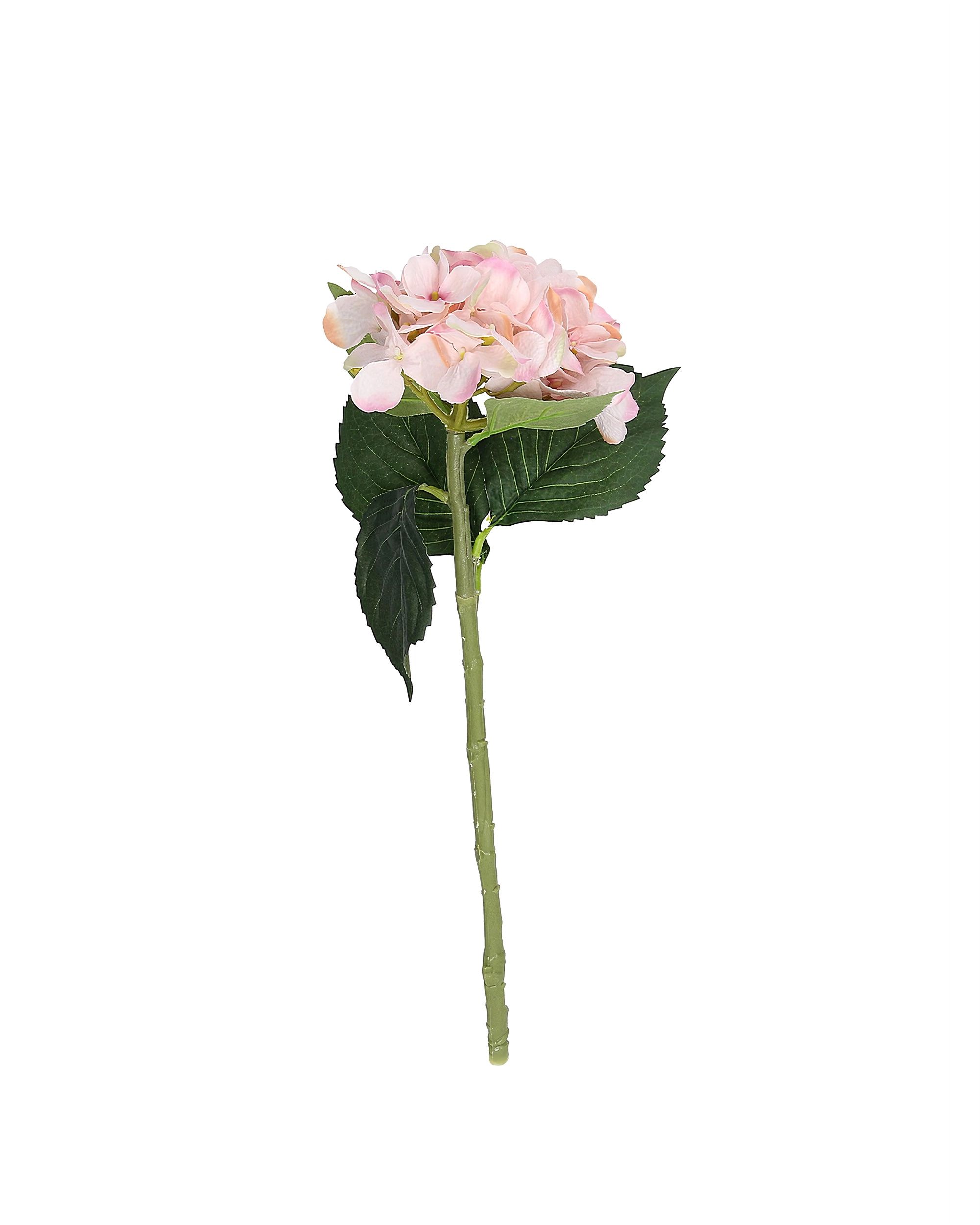 Gałązka hortensji 50 cm
