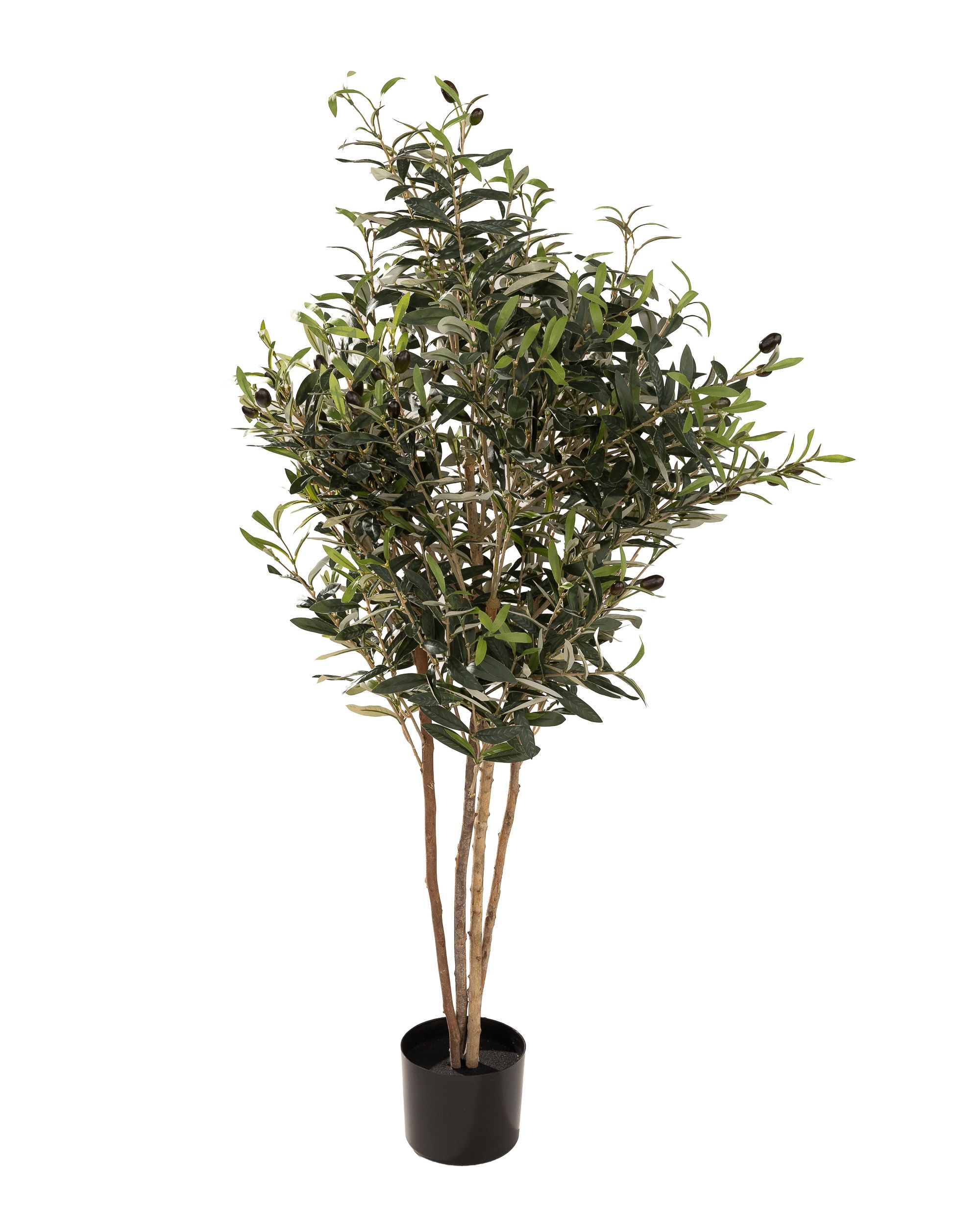 Drzewko oliwne w doniczce 130 cm (hover)