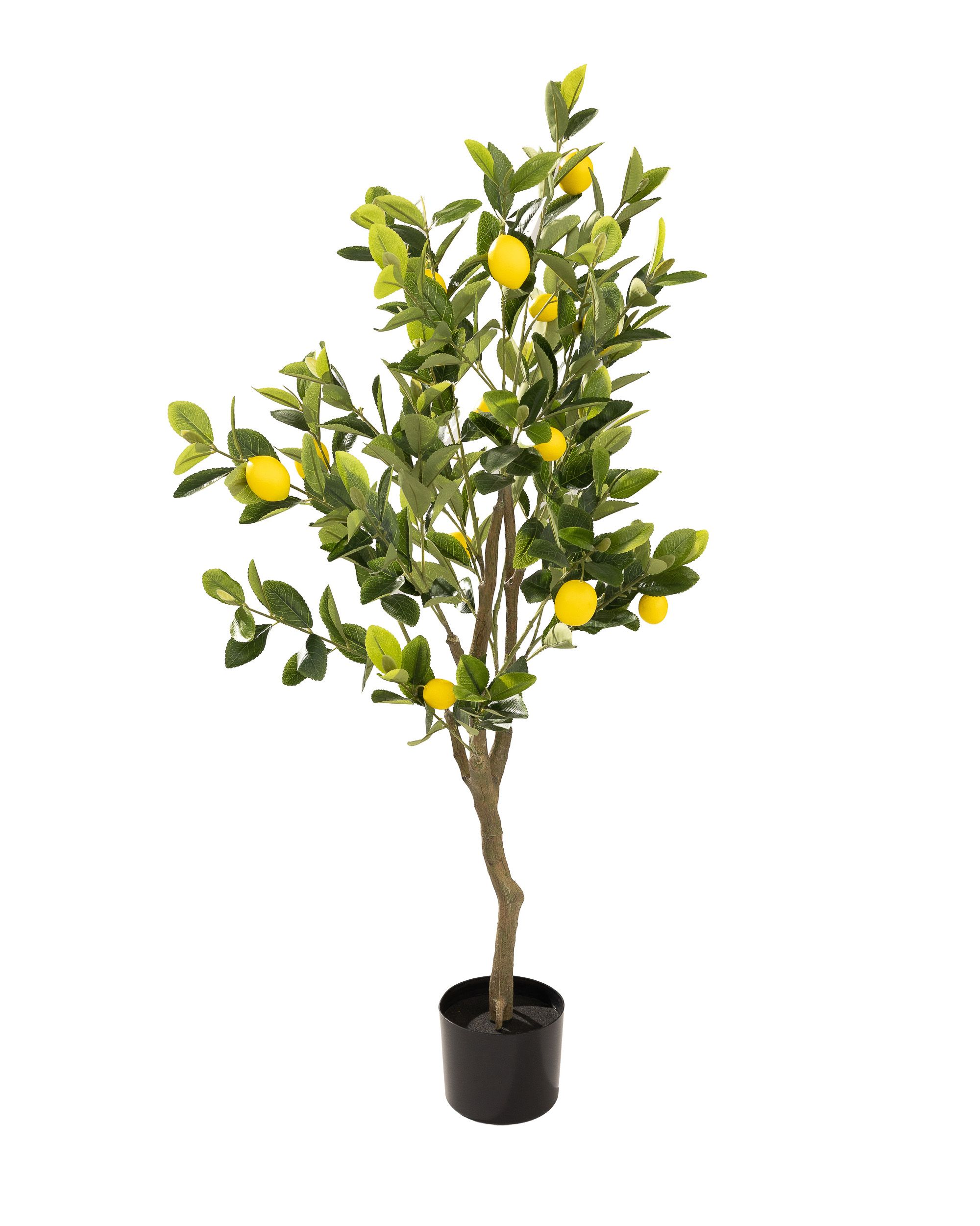 Drzewko cytrynowe Classic w doniczce 125 cm (hover)