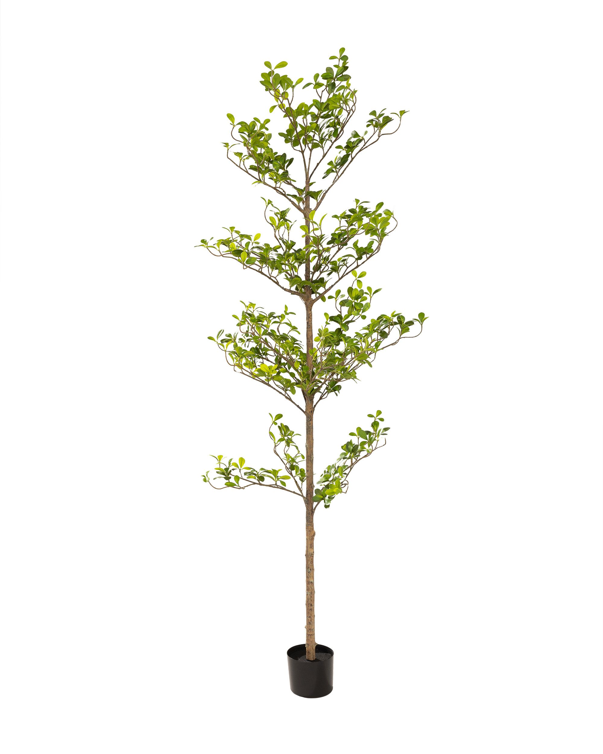 Drzewko dekoracyjne Verdis w doniczce 200 cm (hover)