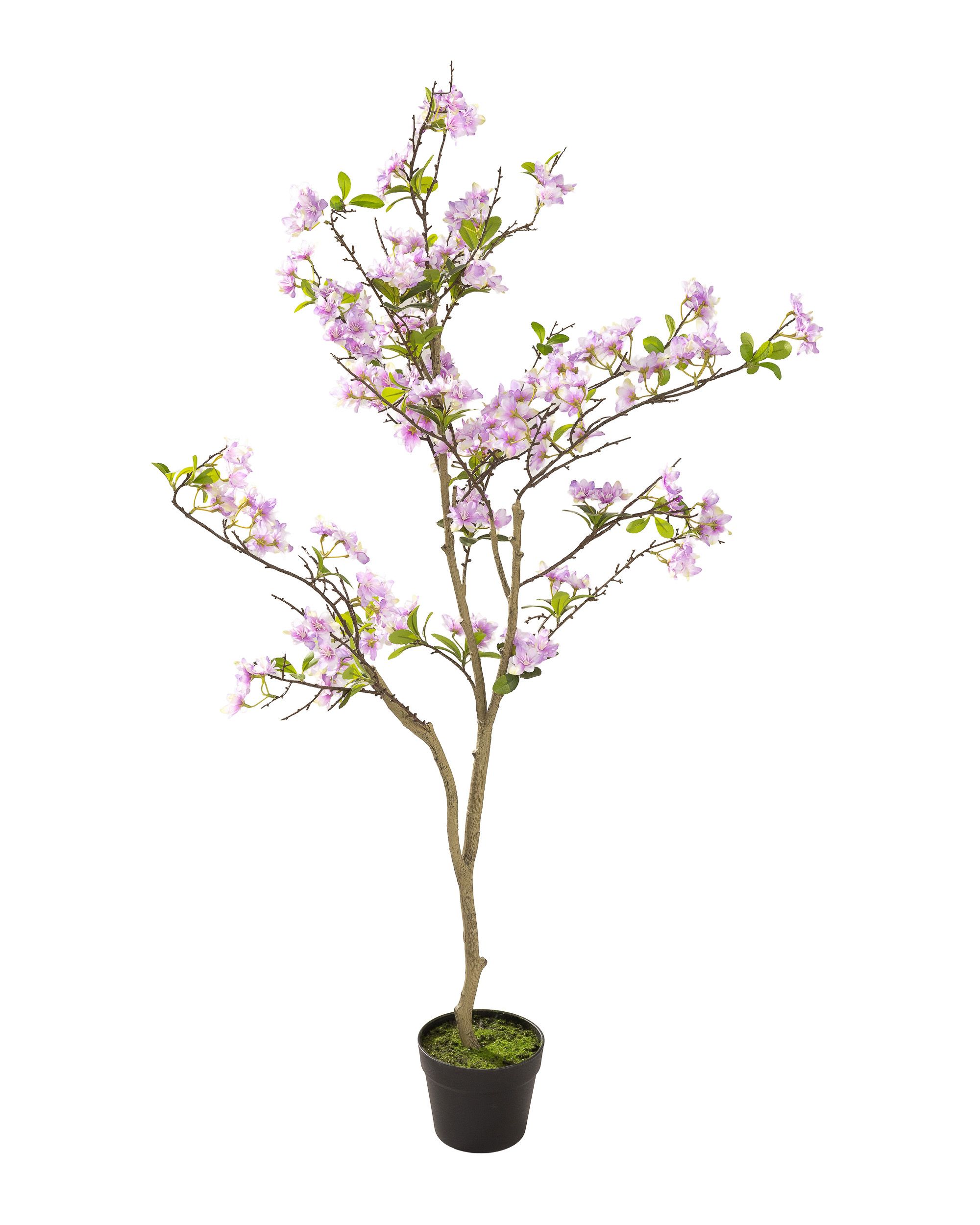 Drzewko Sakura w doniczce 130 cm (hover)