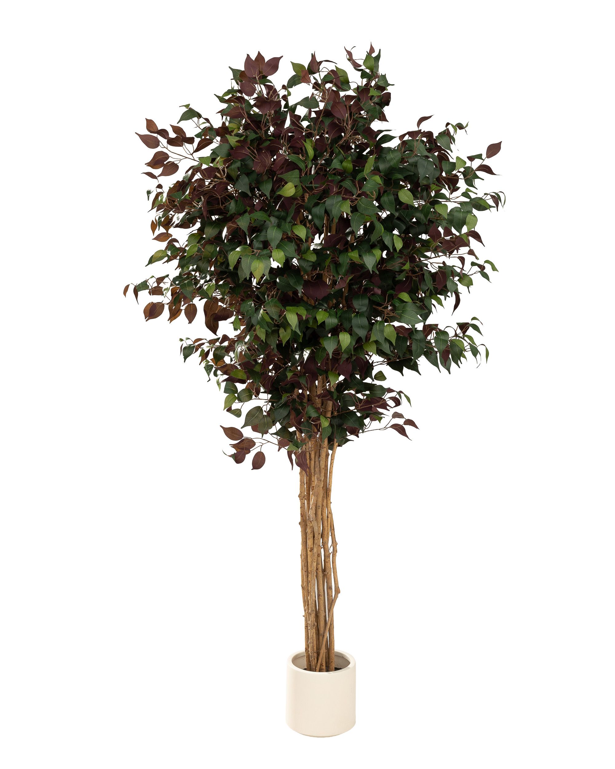 Drzewko dekoracyjne Burgundy w doniczce 210 cm (hover)
