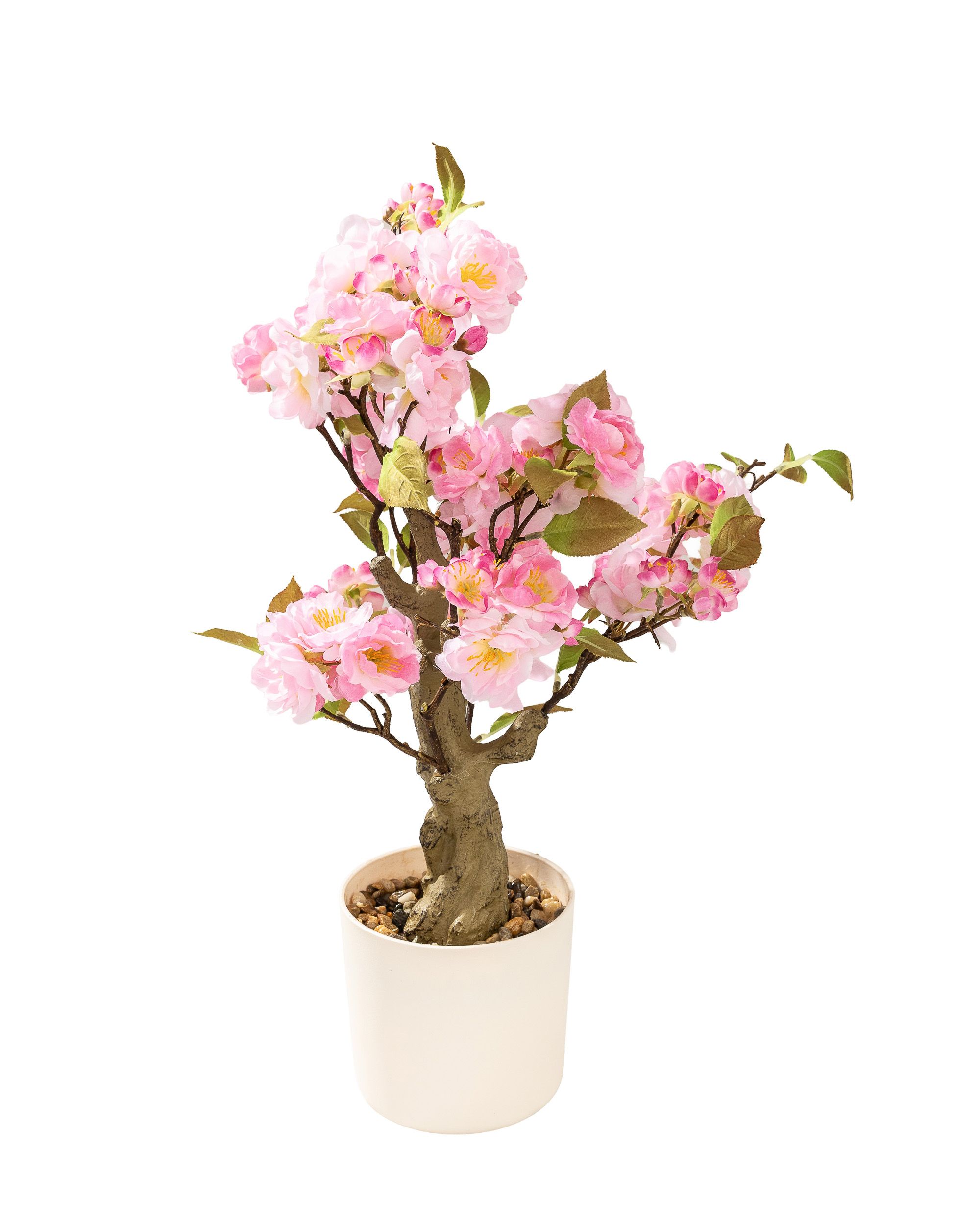 Kwitnące Drzewko Sakura Pink w doniczce 50 cm (hover)