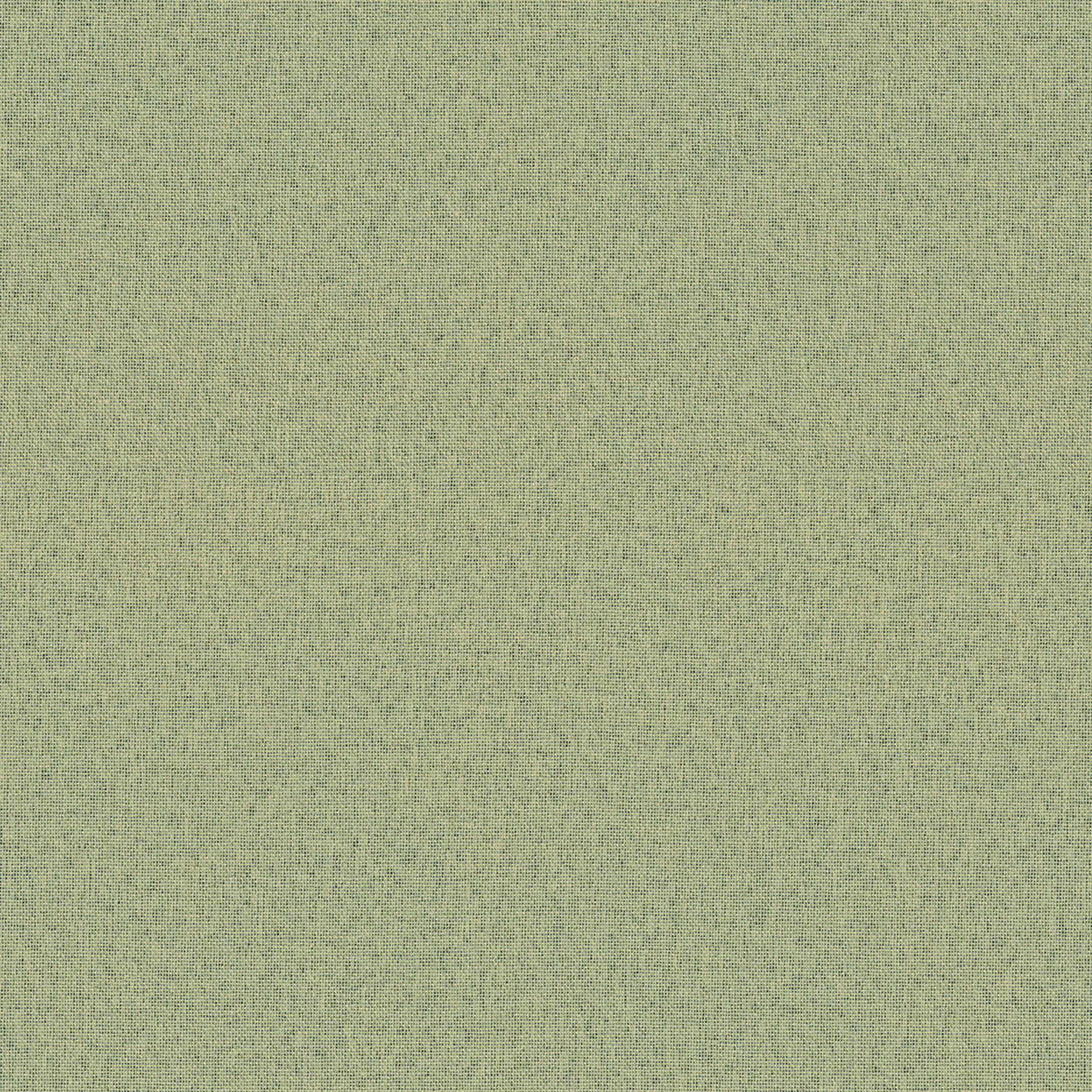 Blackout Soft 269-23 zielony